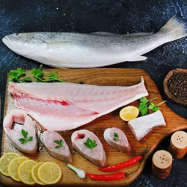 تصویر 2 از قیمت فیله ماهی گیش + خرید باور نکردنی